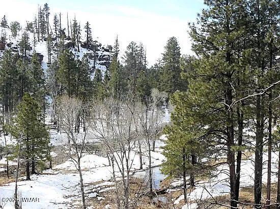 3369 Windy Lane, Heber, AZ 85928 — Photo 1 of 4