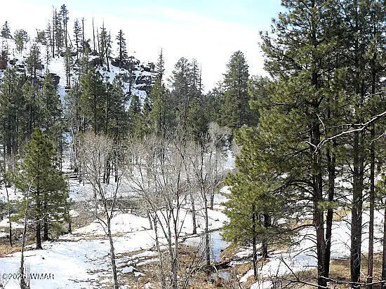 3369 Windy Lane, Heber, AZ 85928