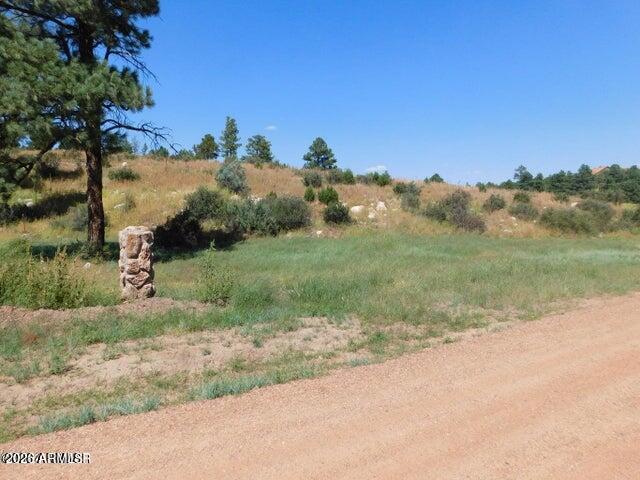 2806-2808 Pine Hill Drive, Overgaard, AZ 85933 — Photo 1 of 3