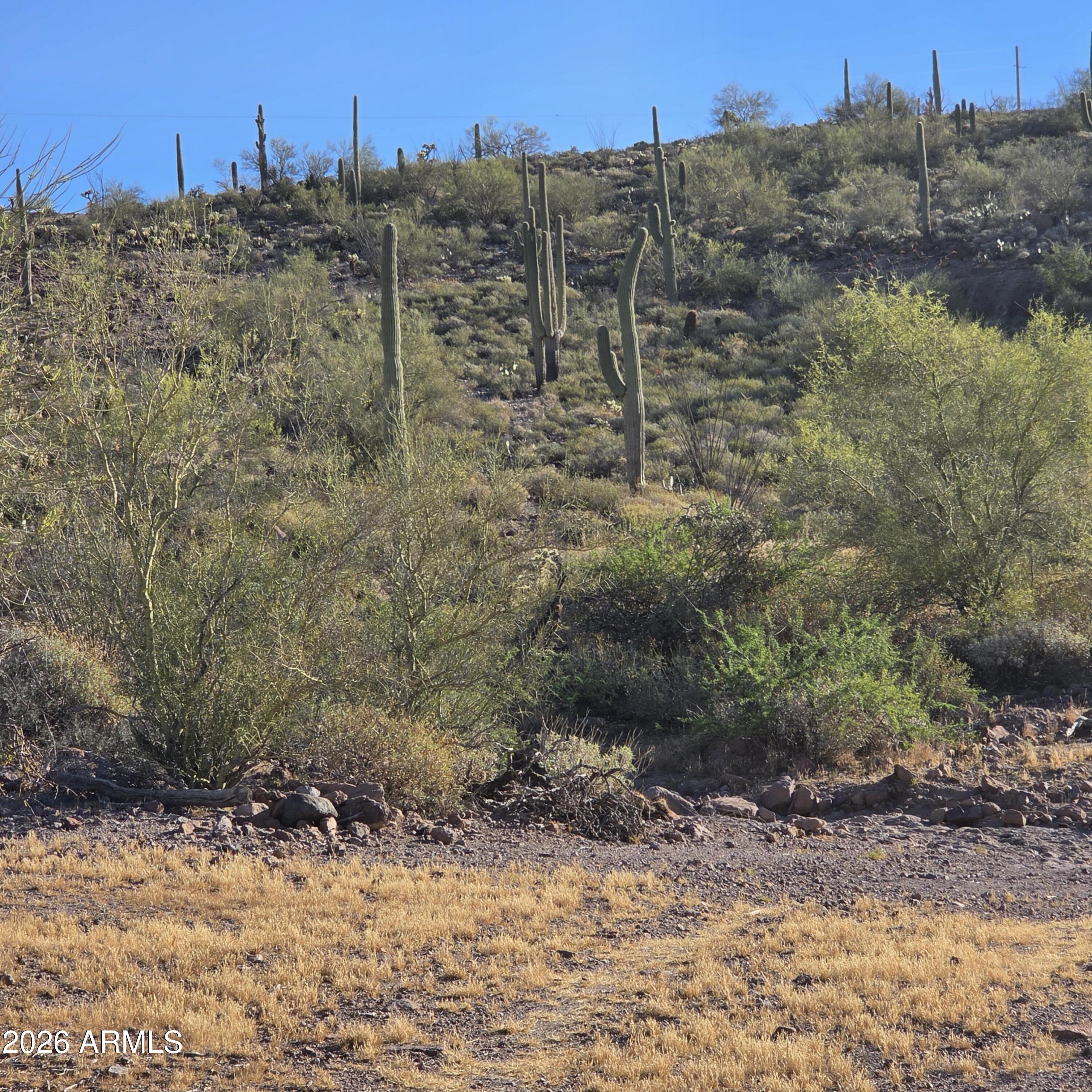 0 Elephant Butte -, Queen Valley, AZ 85118 — Photo 1 of 5