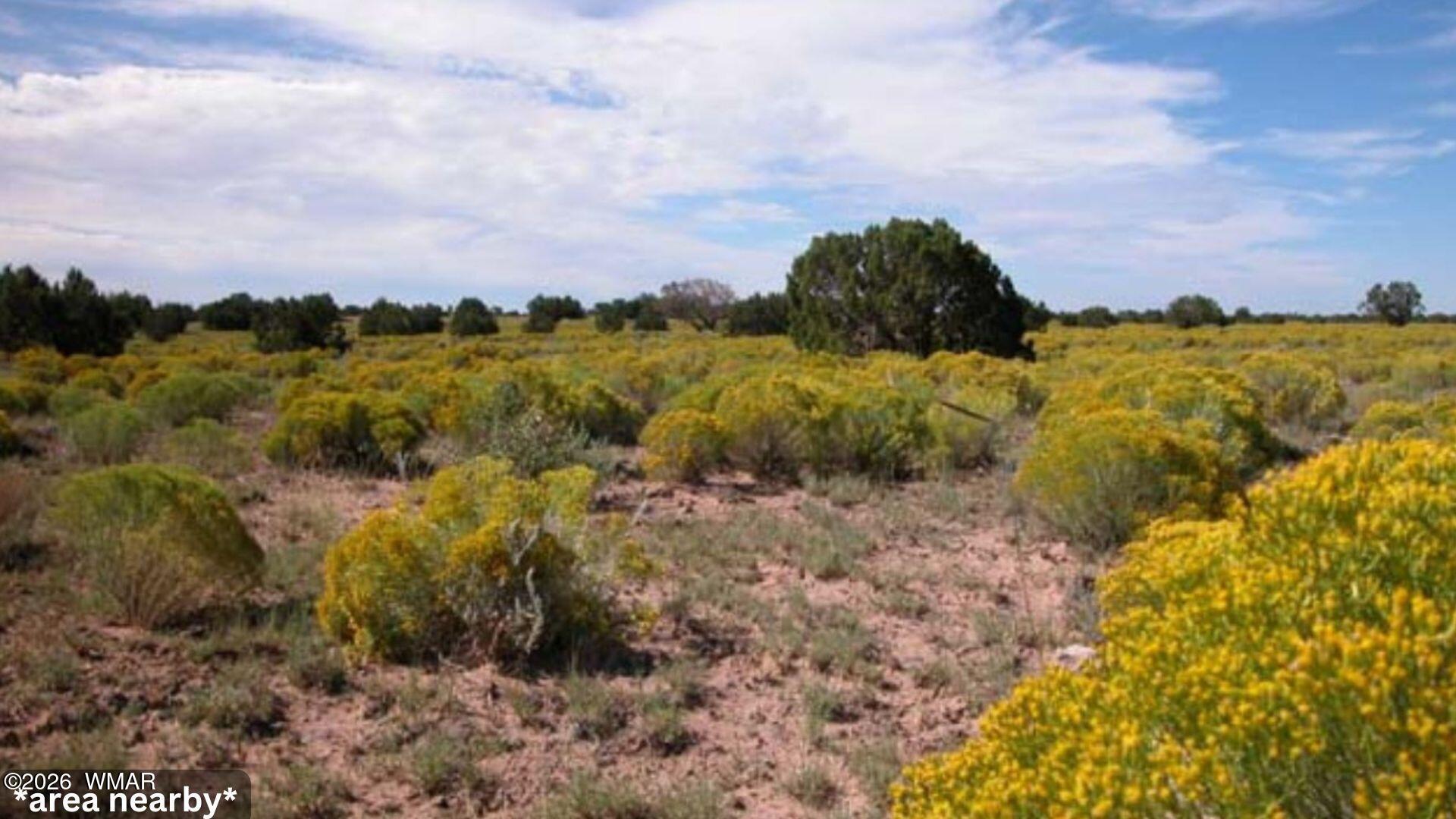 00 Ranch Road Lot 127, Chambers, AZ 86502 — Photo 1 of 7