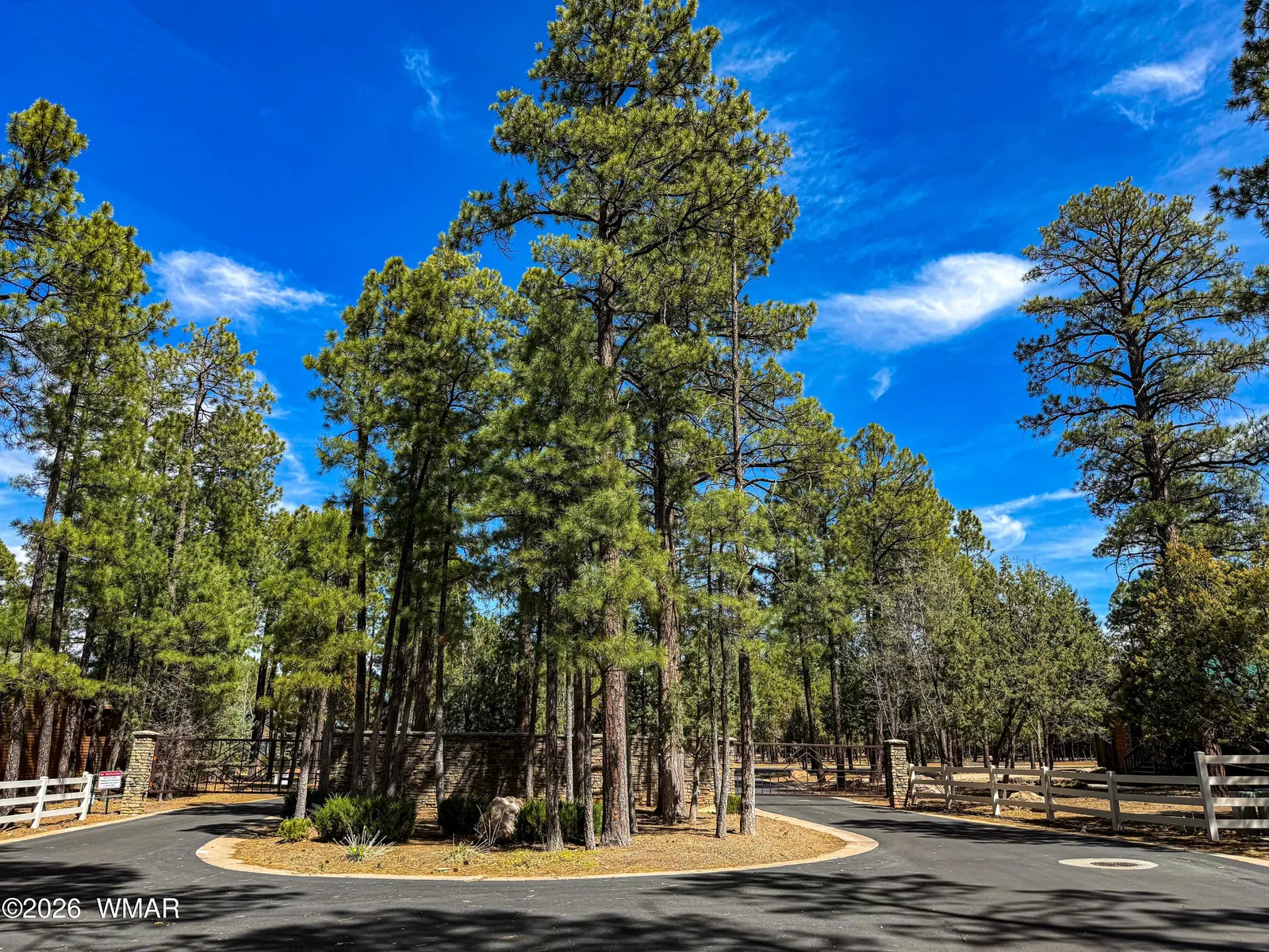 5039 Winter Hawk Court, Lakeside, AZ 85929 — Photo 1 of 22