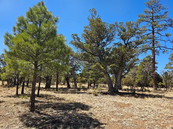 4173 Durango Drive, Happy Jack, AZ 86024