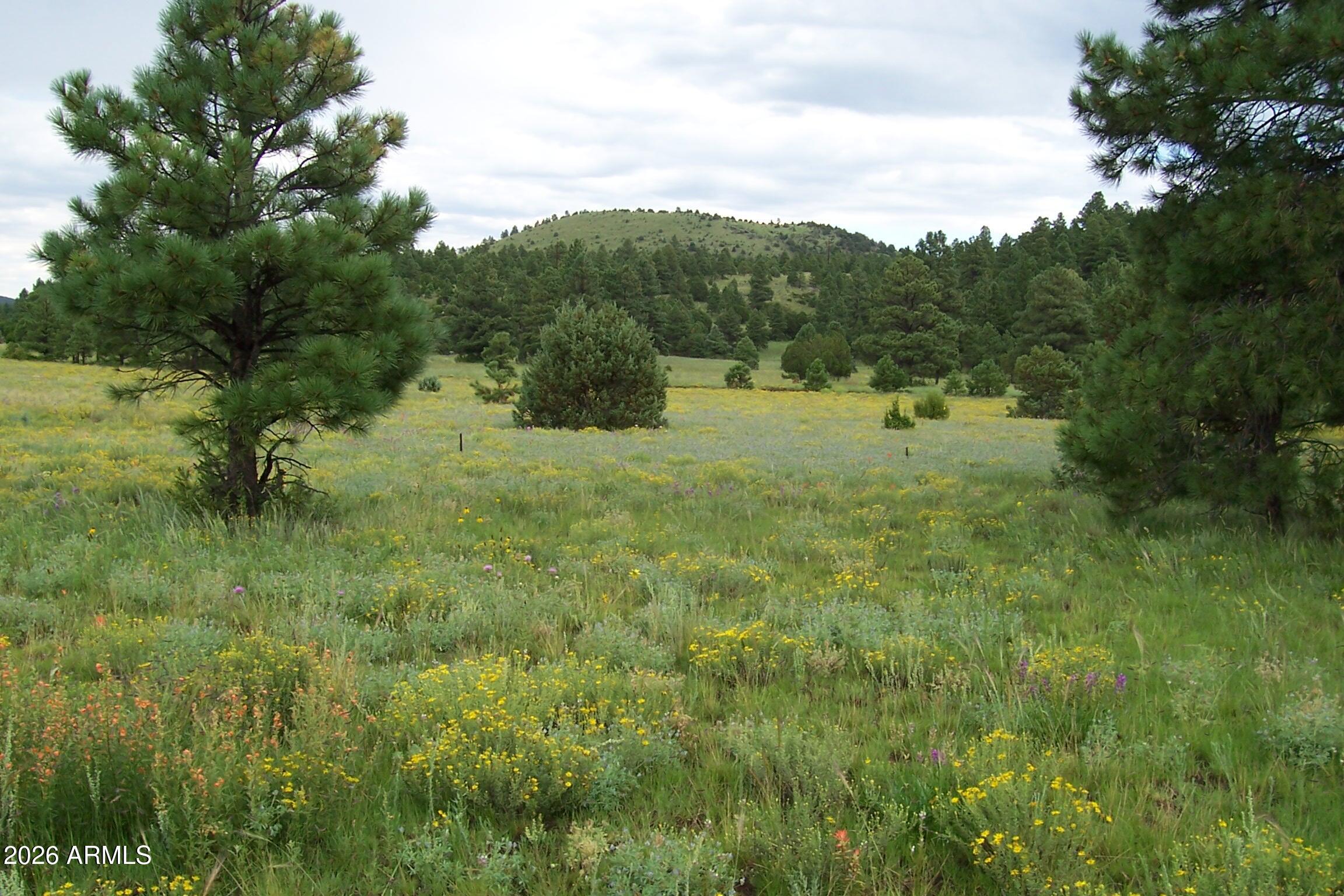 Lot 5 Red Cabin Ranch Unit II 5, Vernon, AZ 85940 — Photo 1 of 12