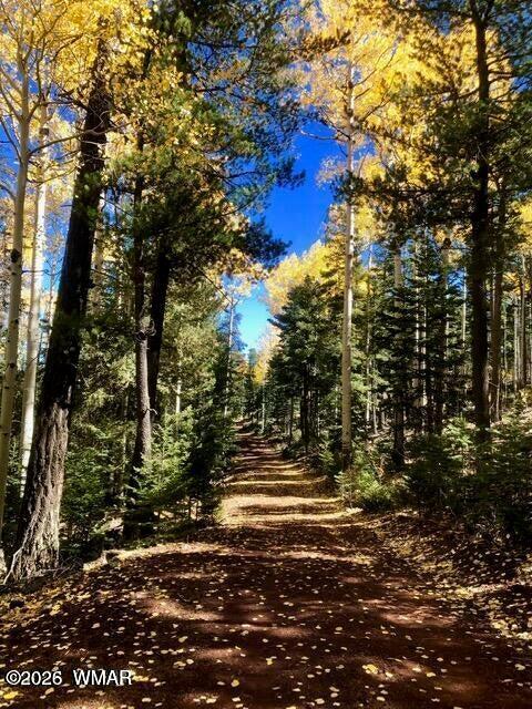 Thumbnail 19