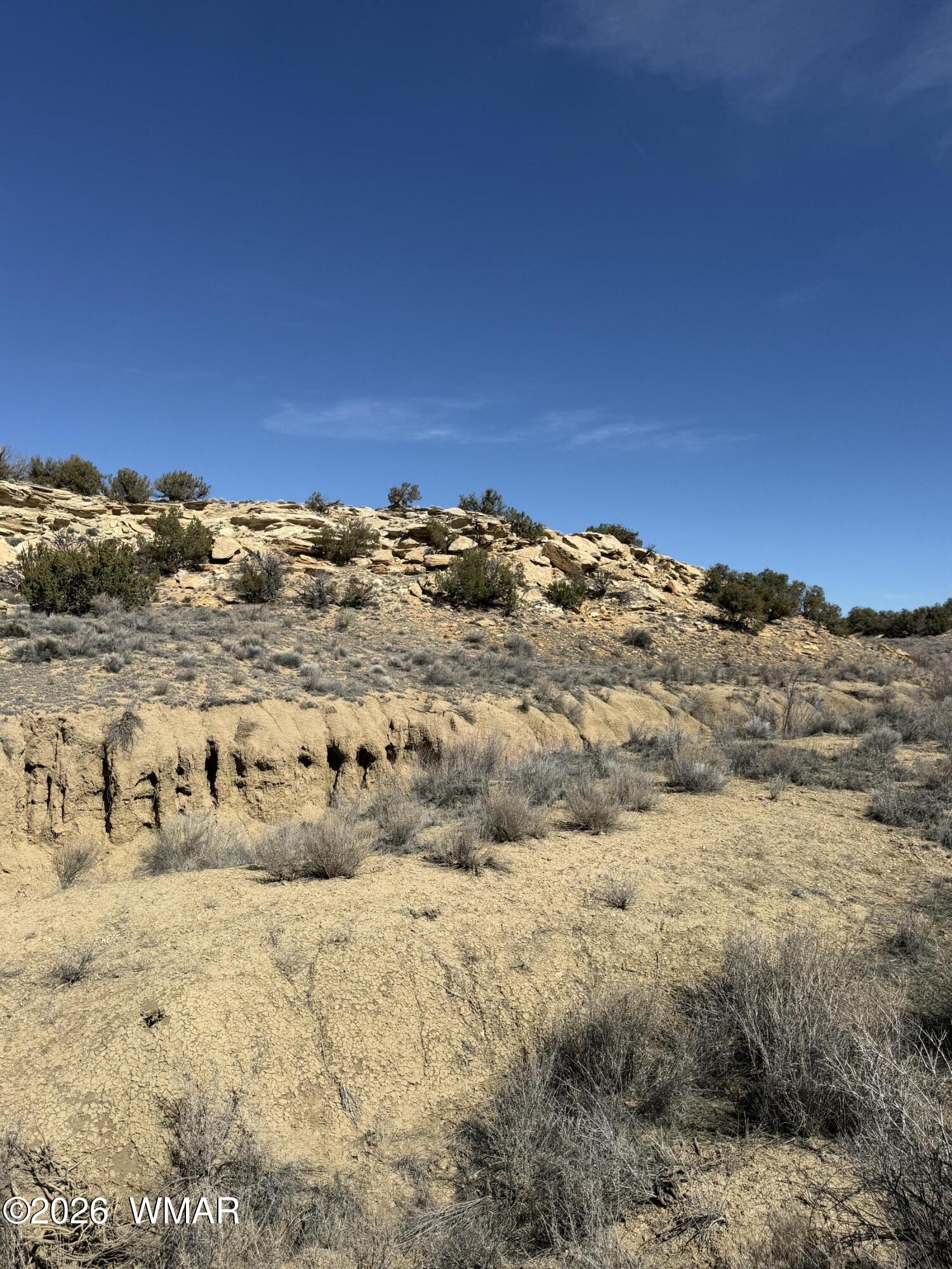 310 N County Road 6726, St. Johns, AZ 85936 — Photo 1 of 43