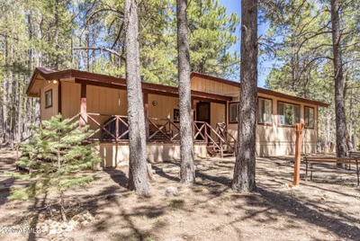2224 Daisy Trail, Forest Lakes, AZ 85931