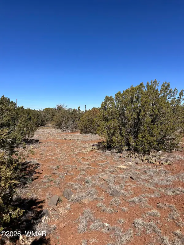 8490 Canyon Drive, Show Low, AZ 85901