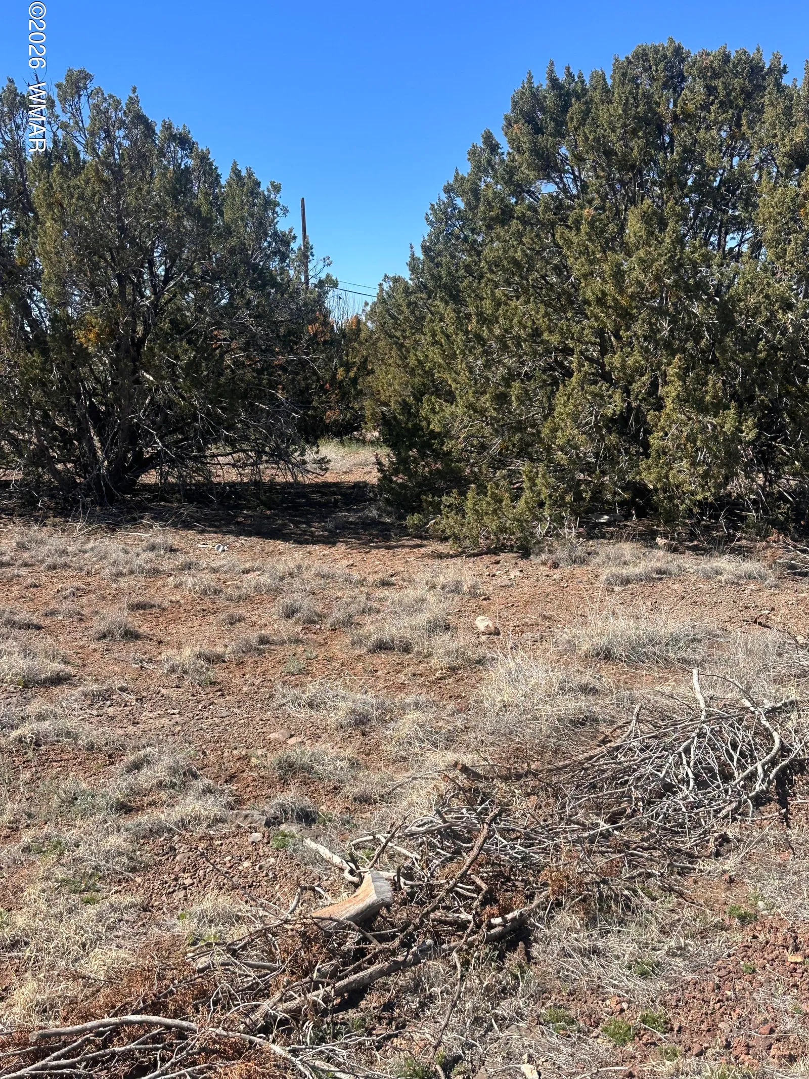 8489 Rifle Drive, Show Low, AZ 85901 — Photo 1 of 3