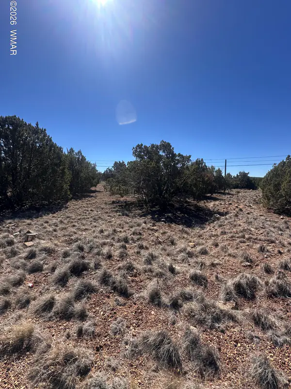 1795 Cox Drive, Show Low, AZ 85901