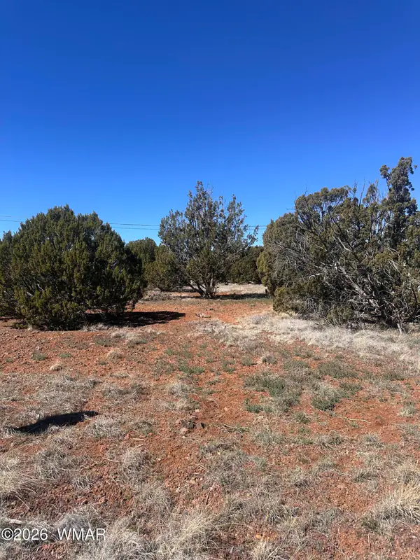 Lot 338 Bartlett Pl, Show Low, AZ 85901
