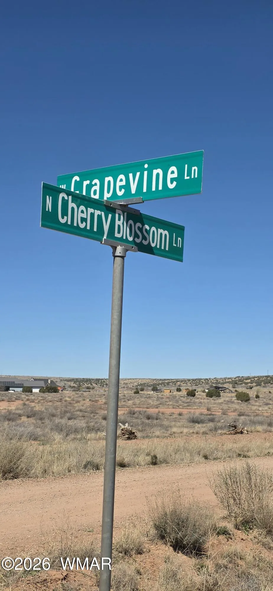 TBD N Cherry Blossom, Snowflake, AZ 85937 — Photo 1 of 6