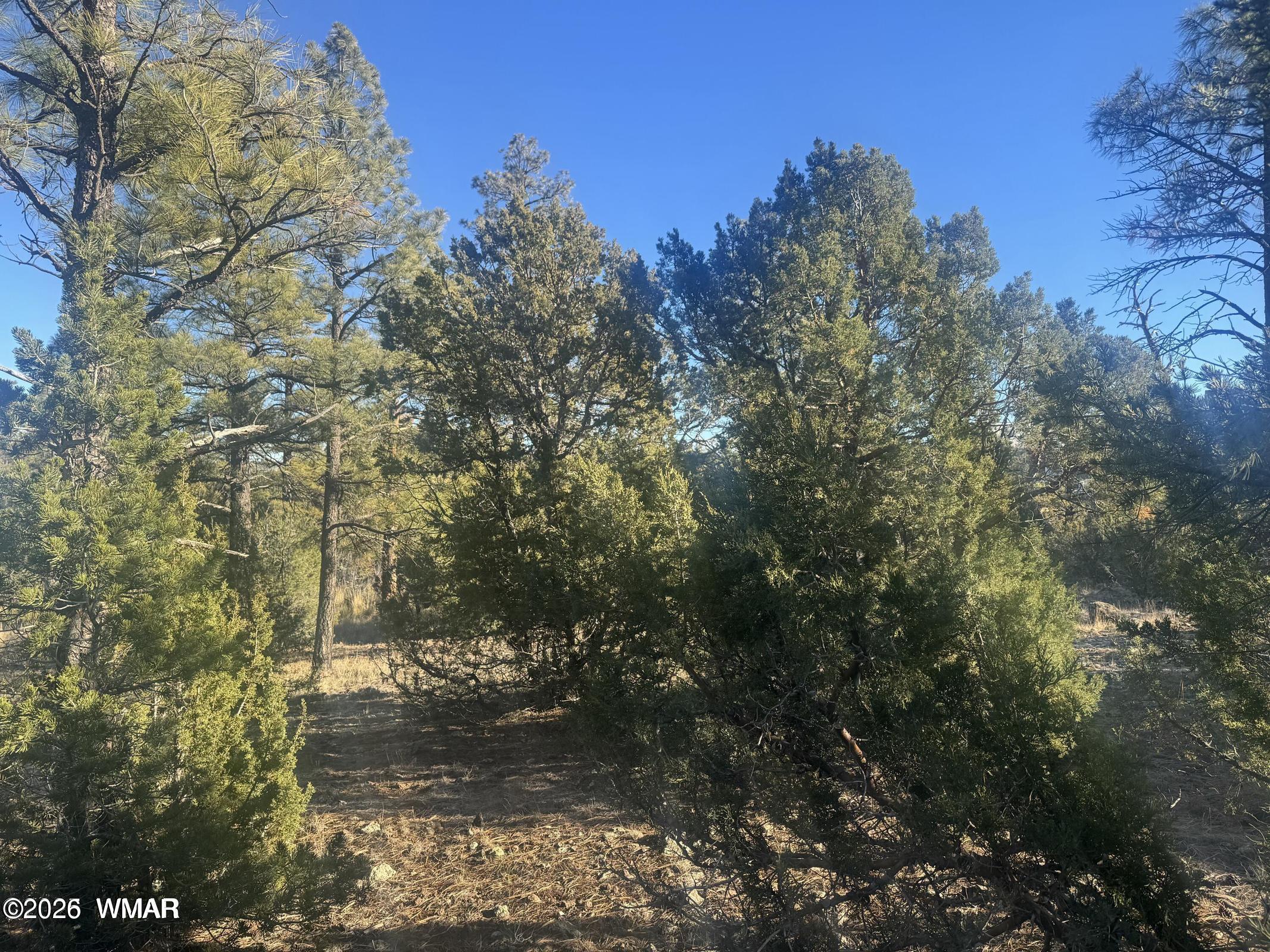 2060 E Bluff Ridge Road, Show Low, AZ 85901 — Photo 1 of 7