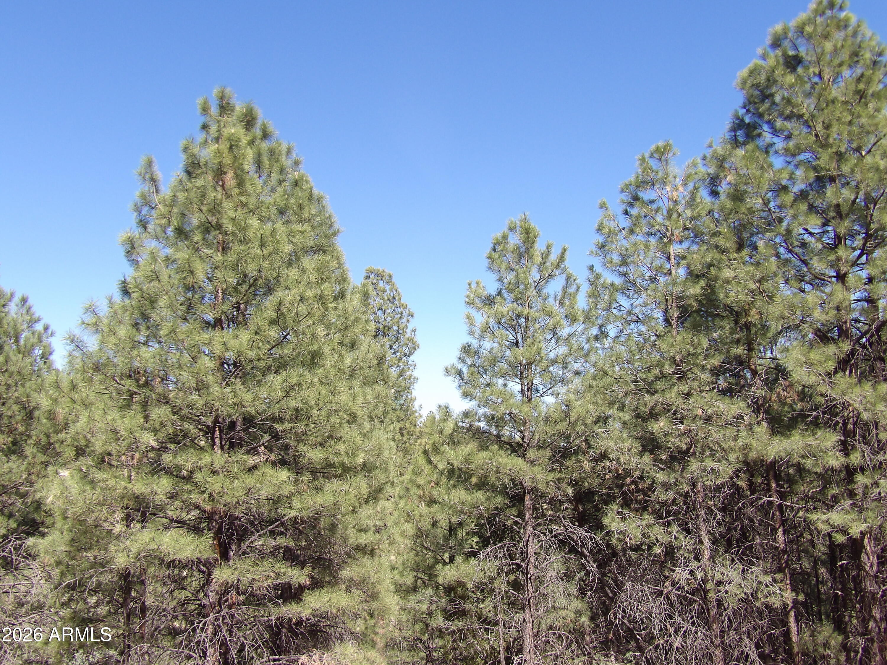 1601 MOQUI Drive 77, Happy Jack, AZ 86024 — Photo 1 of 12