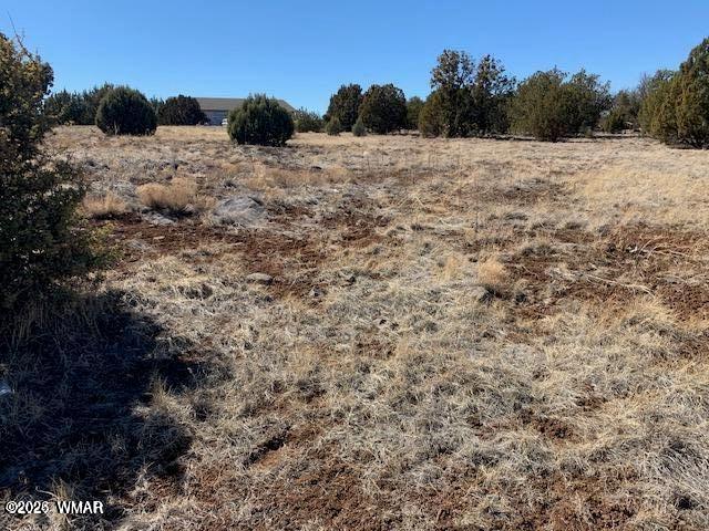 8580 Silver Creek Drive, Show Low, AZ 85901 — Photo 1 of 4