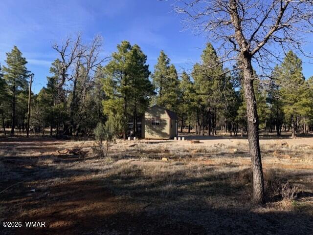 1306 Green Top Drive, Happy Jack, AZ 86024 — Photo 1 of 11