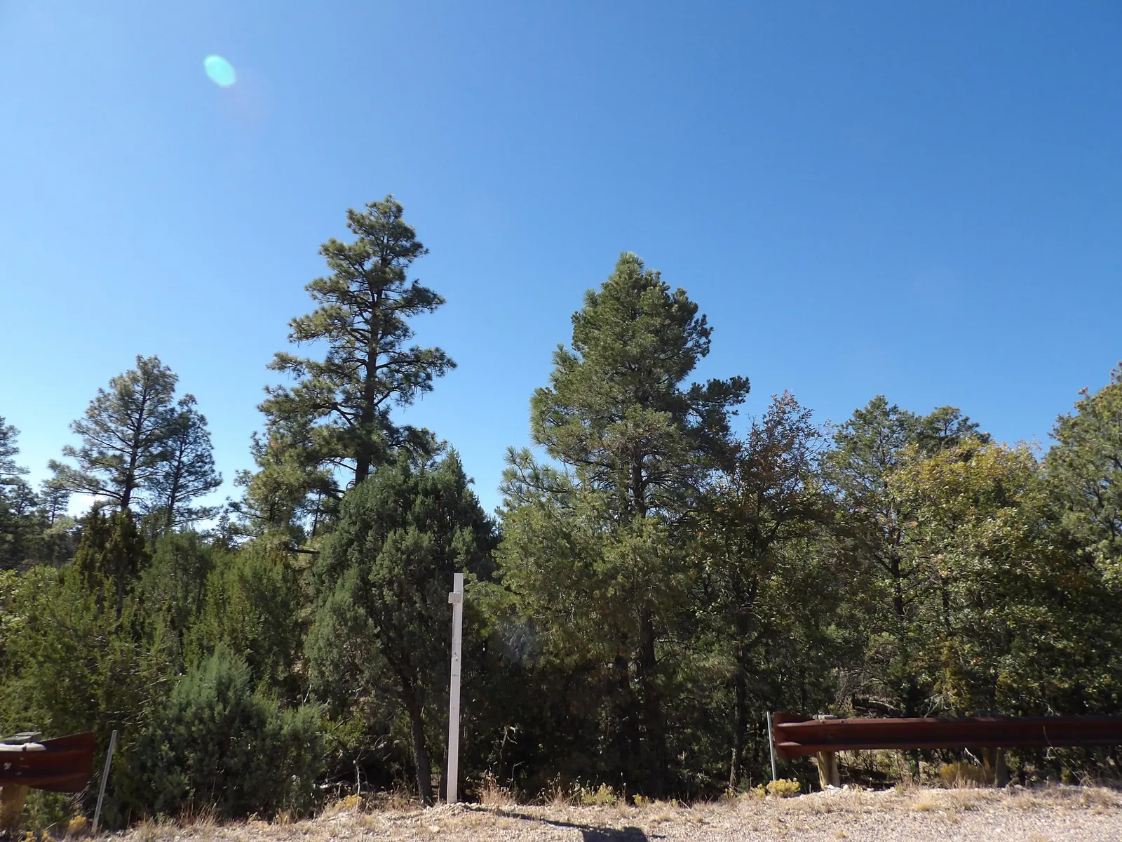 3642 Pinehurst Drive, Happy Jack, AZ 86024 — Photo 1 of 11