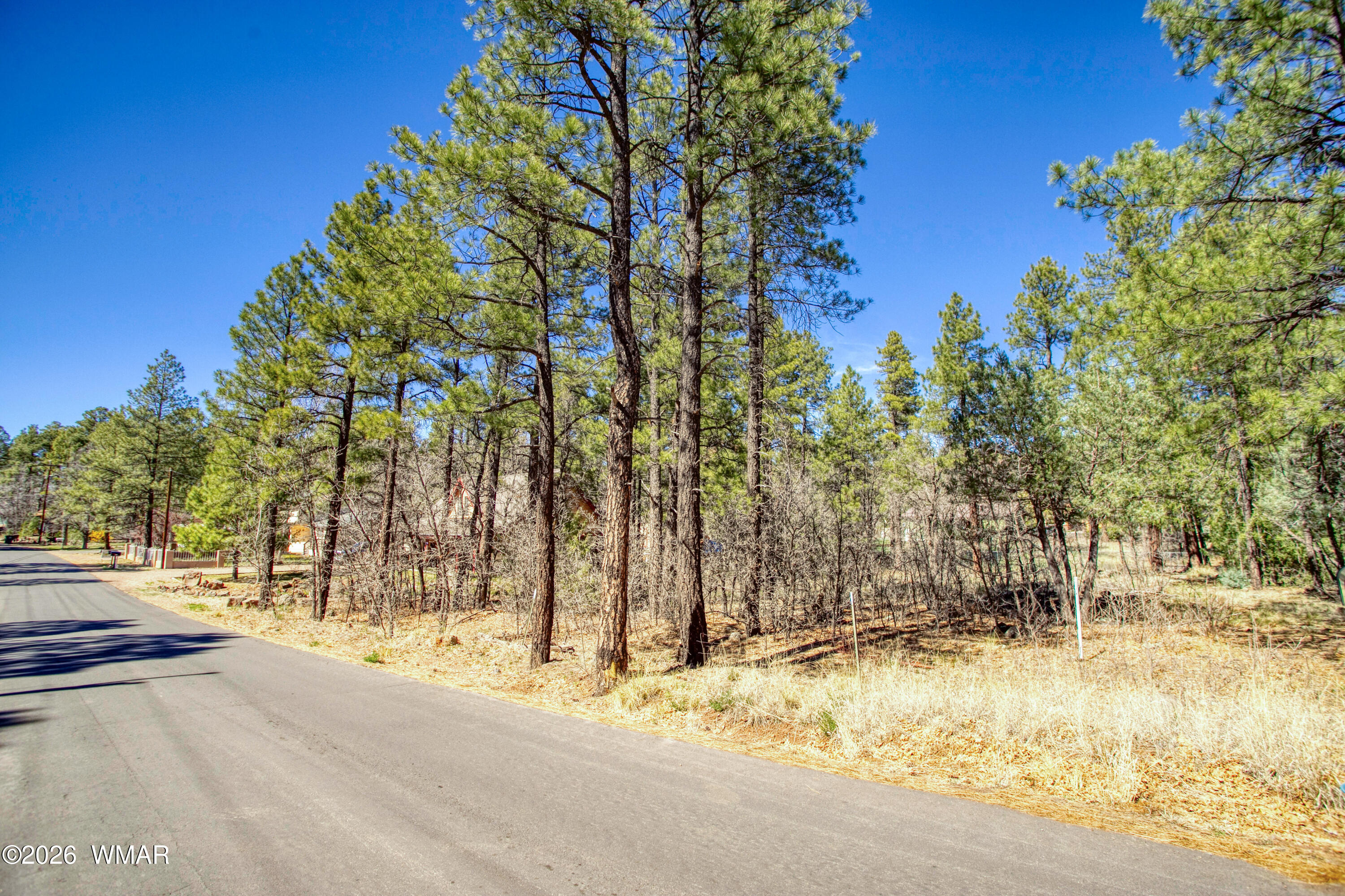 1036 W Apache Lane, Lakeside, AZ 85929