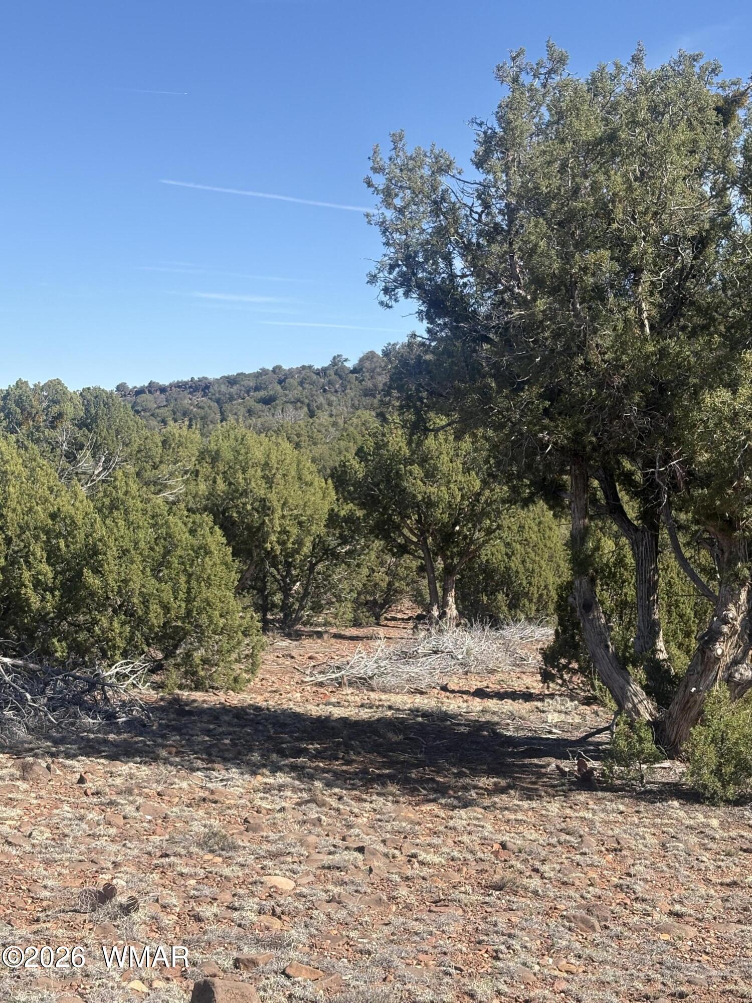 88 North 8714, Concho, AZ 85924 — Photo 1 of 15