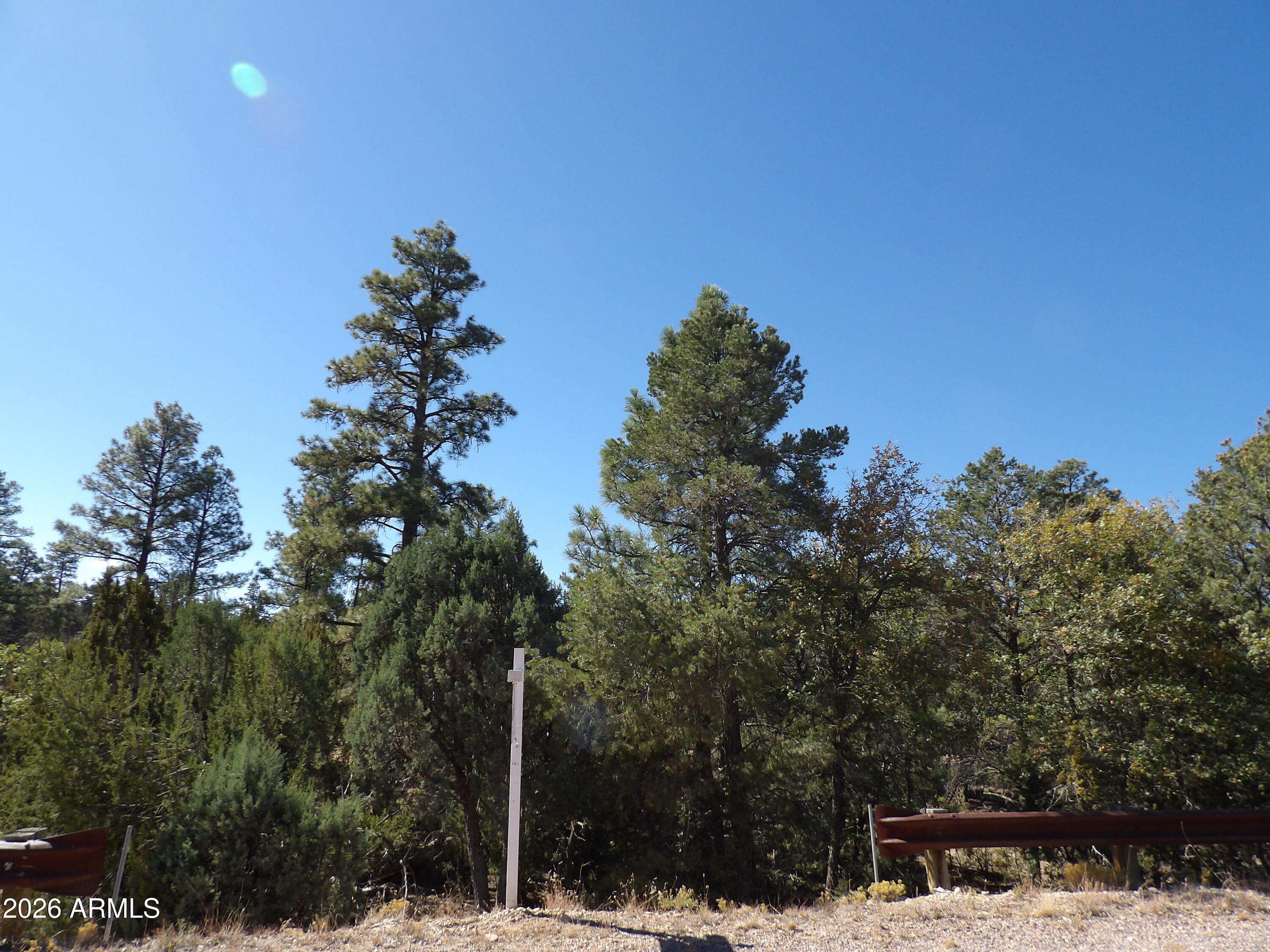 3642 PINEHURST Drive 169, Happy Jack, AZ 86024 — Photo 1 of 11
