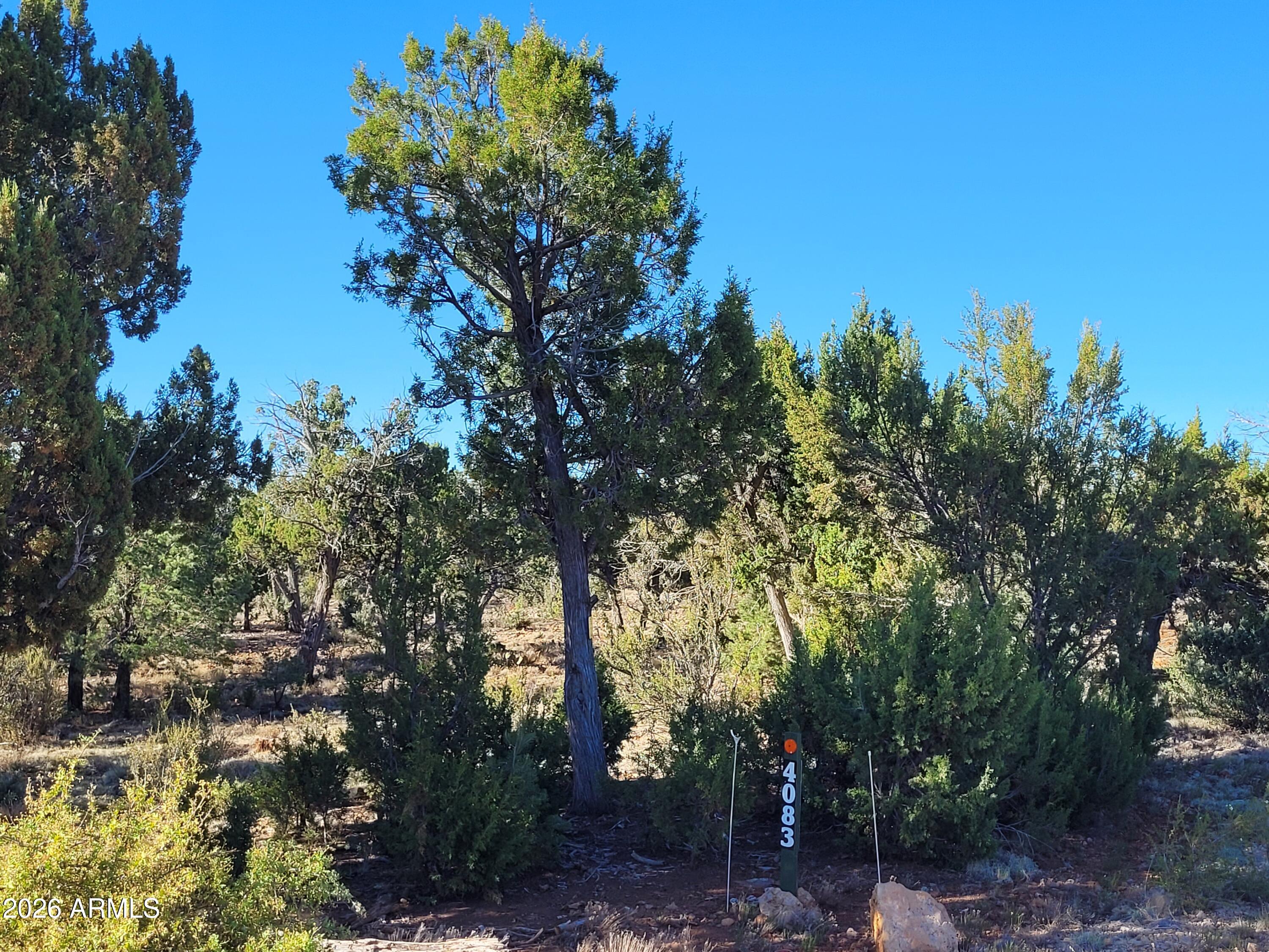 4083 SUNSET RIDGE Loop 175, Happy Jack, AZ 86024 — Photo 1 of 5
