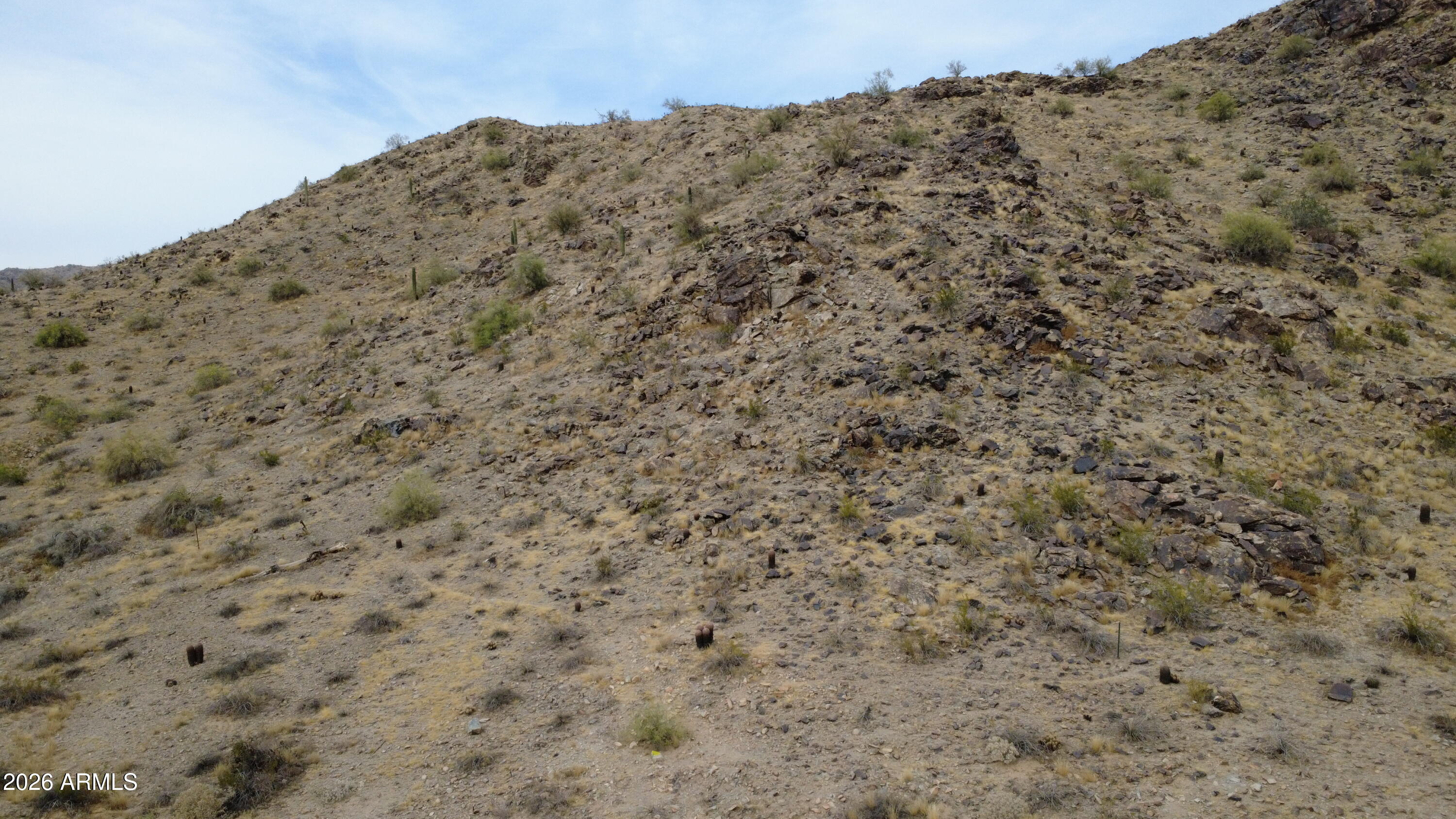 13829 S CANYON Drive 33, Phoenix, AZ 85048 — Photo 1 of 2