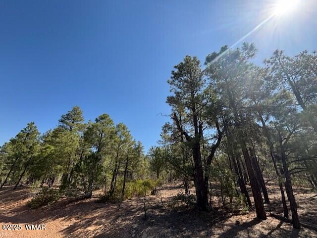 181 S Cliffrose Lane, Show Low, AZ 85901