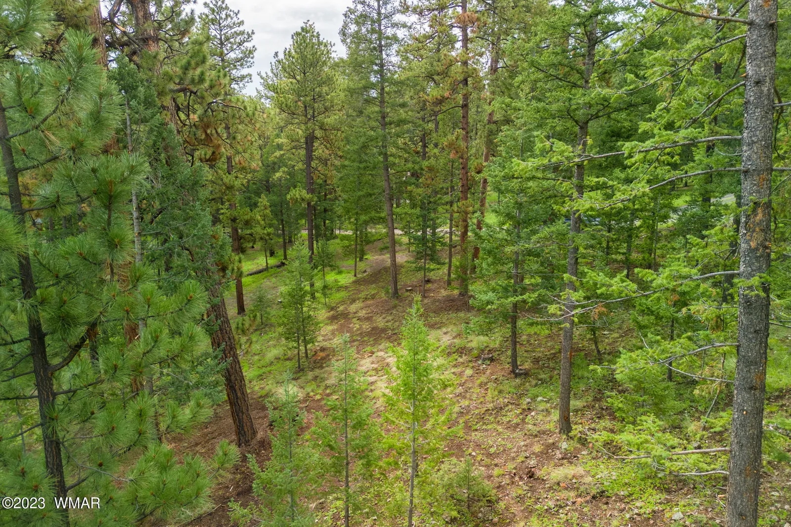 29 N1068, Greer, AZ 85927 — Photo 1 of 7