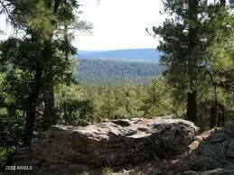 3378 WINDY Lane 139, Heber, AZ 85928