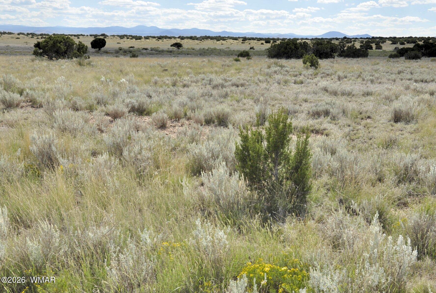 76 acres CR 6451, St. Johns, AZ 85936