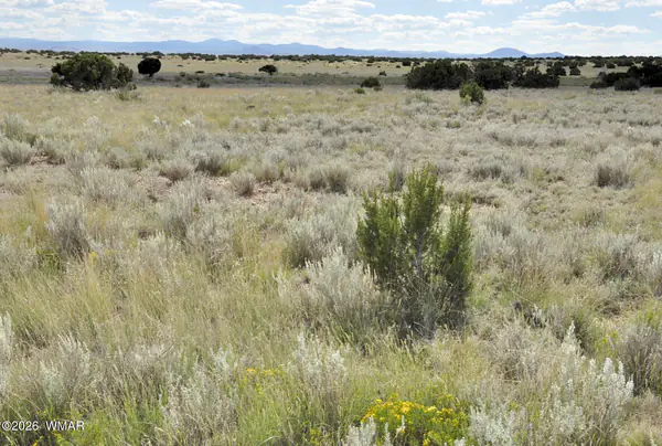 76 acres CR 6451, St. Johns, AZ 85936