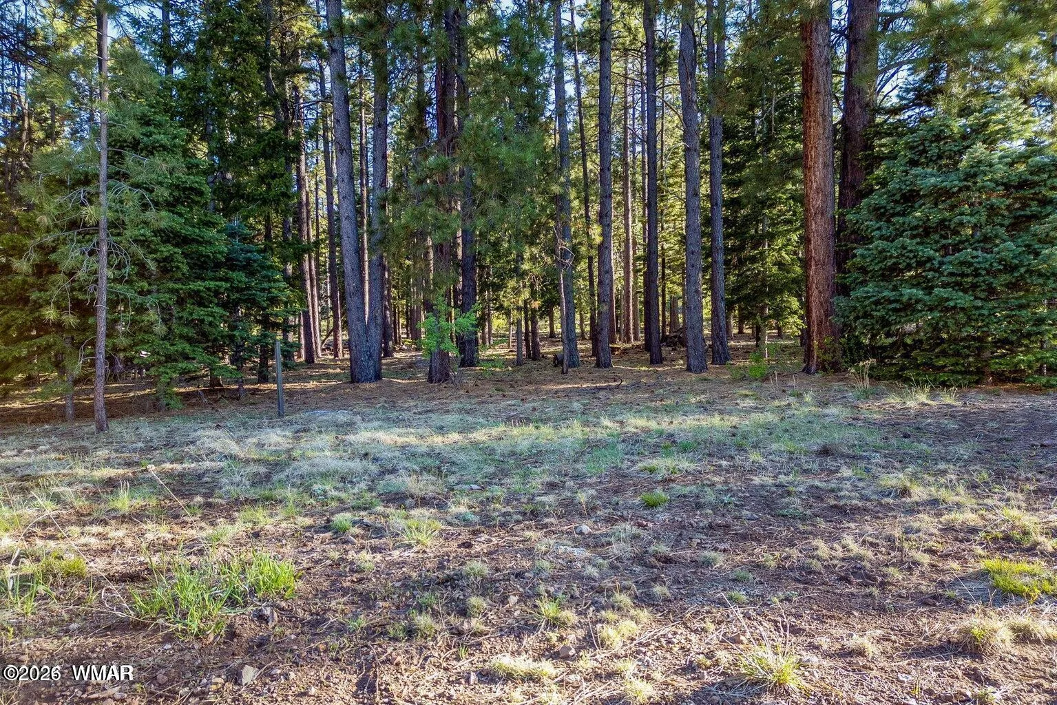 10 N 1337, Greer, AZ 85927 — Photo 1 of 15