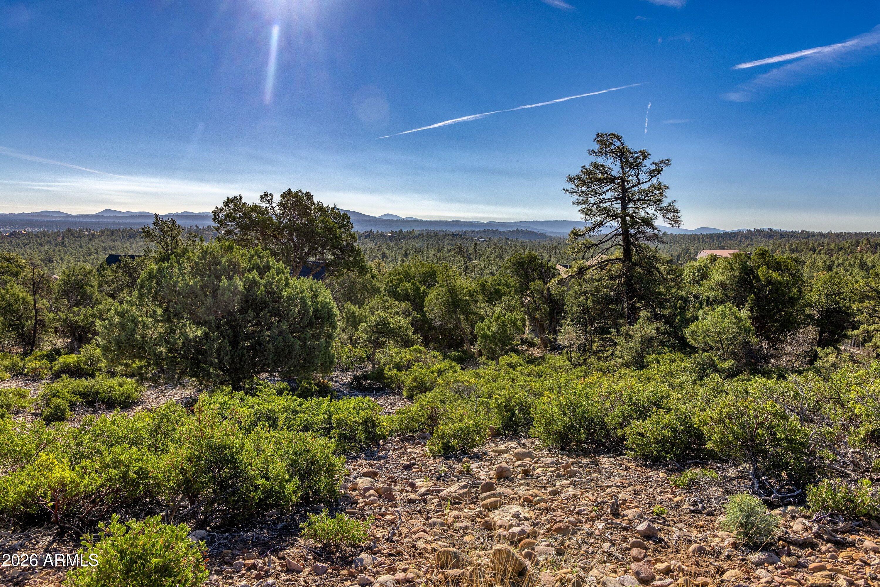 1611 S CANYON RIDGE Trail 67, Show Low, AZ 85901 — Photo 1 of 19