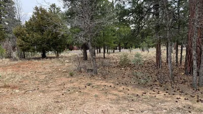 2755 Javalina Circle, Happy Jack, AZ 86024