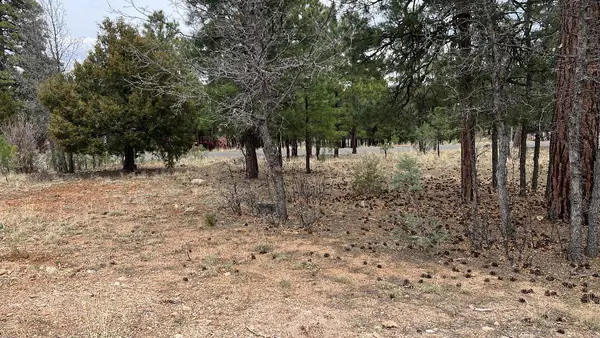 2755 Javalina Circle, Happy Jack, AZ 86024