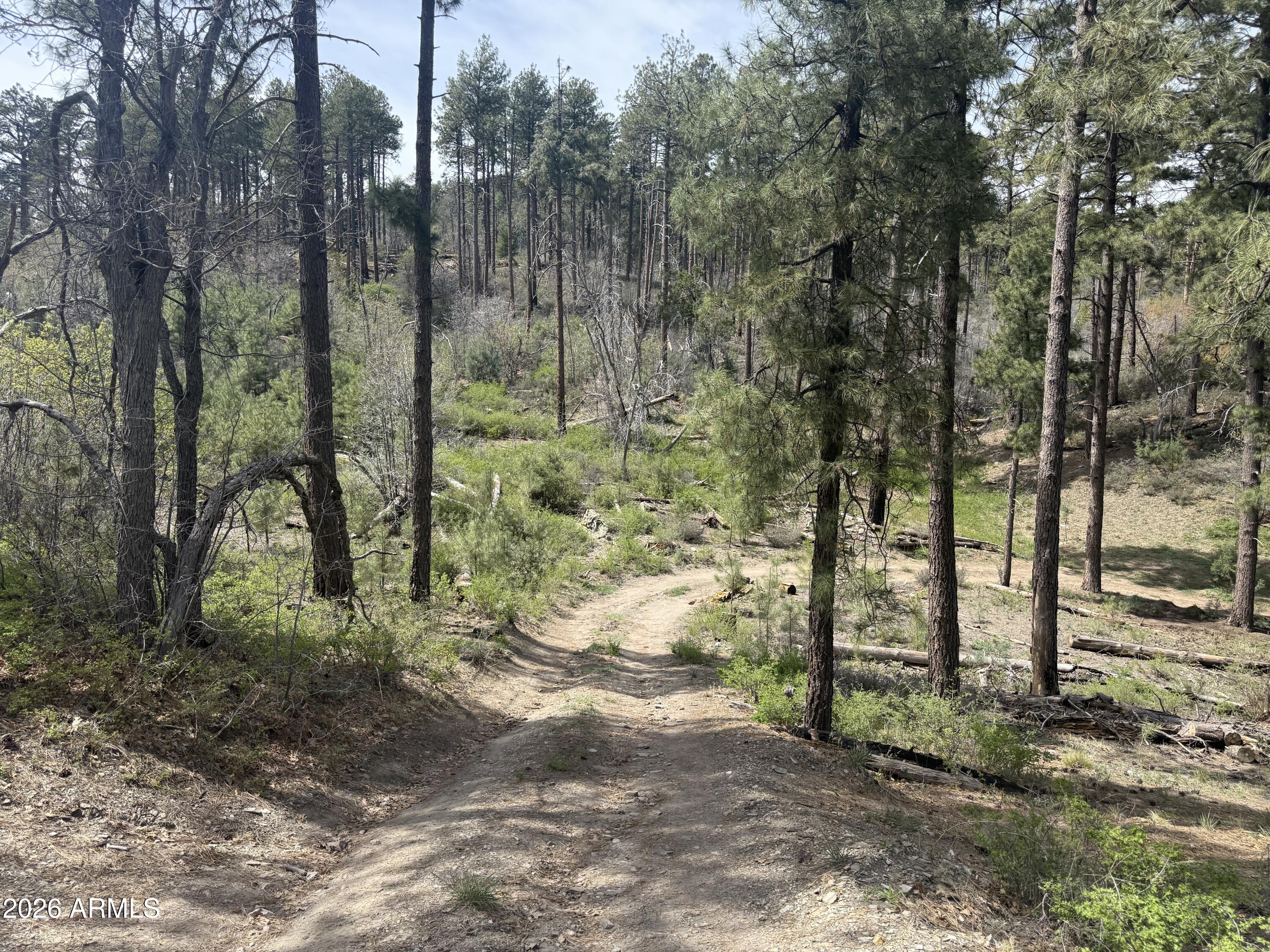 00 E WILD FLOWER Road -, Crown King, AZ 86343 — Photo 1 of 4