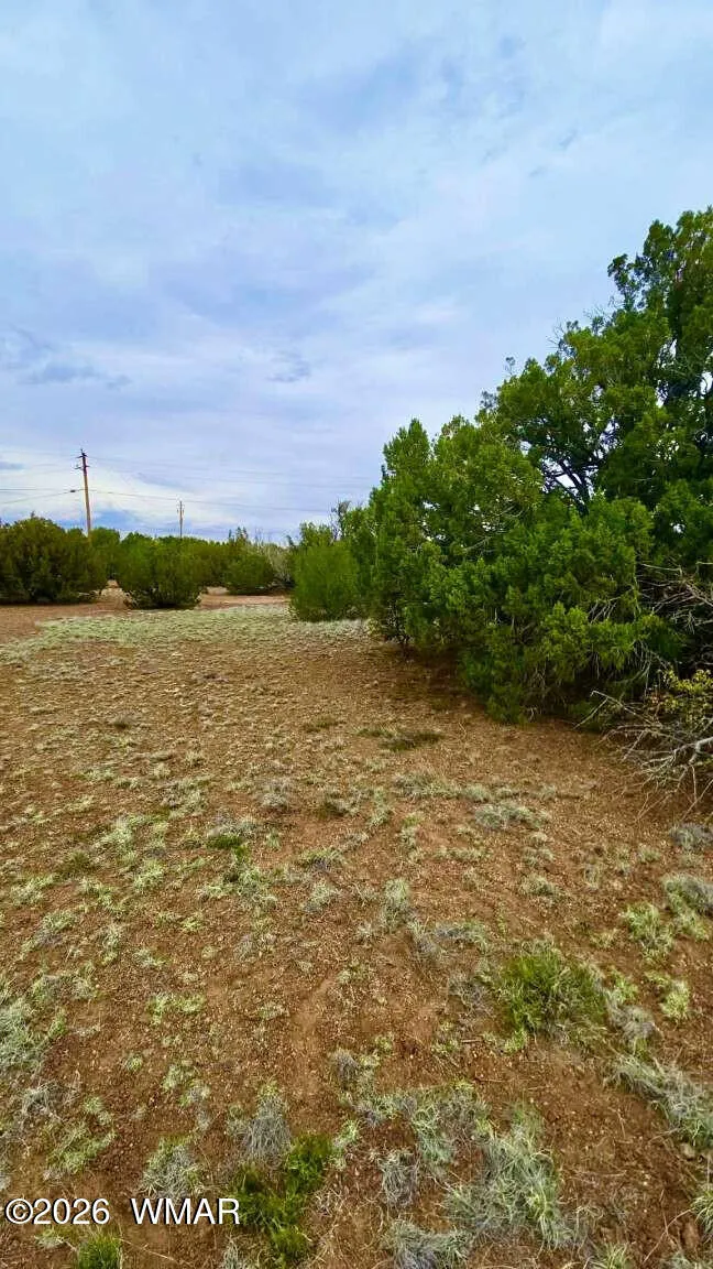 8458 Soto Place, Show Low, AZ 85901 — Photo 1 of 11