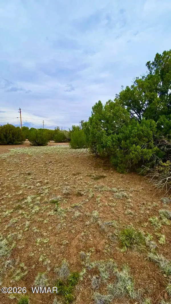 8458 Soto Place, Show Low, AZ 85901
