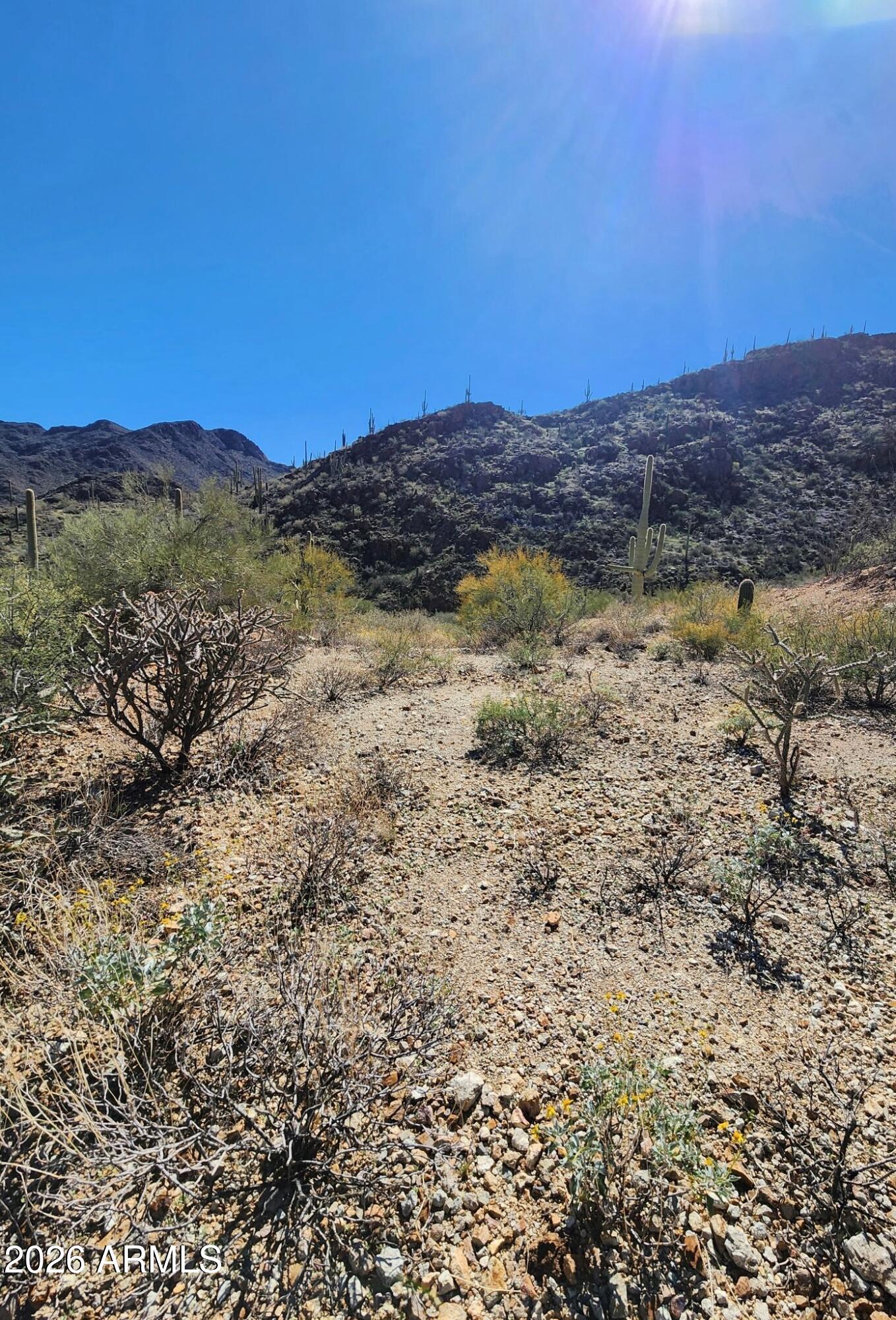 6400 W LOST CANYON Drive 00013, Tucson, AZ 85745 — Photo 1 of 3