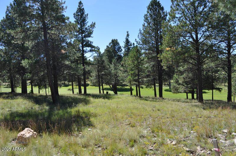 2900 S Solitaires Canyon Drive 345, Flagstaff, AZ 86005 — Photo 1 of 25