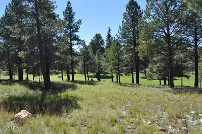 2900 S Solitaires Canyon Drive 345, Flagstaff, AZ 86005