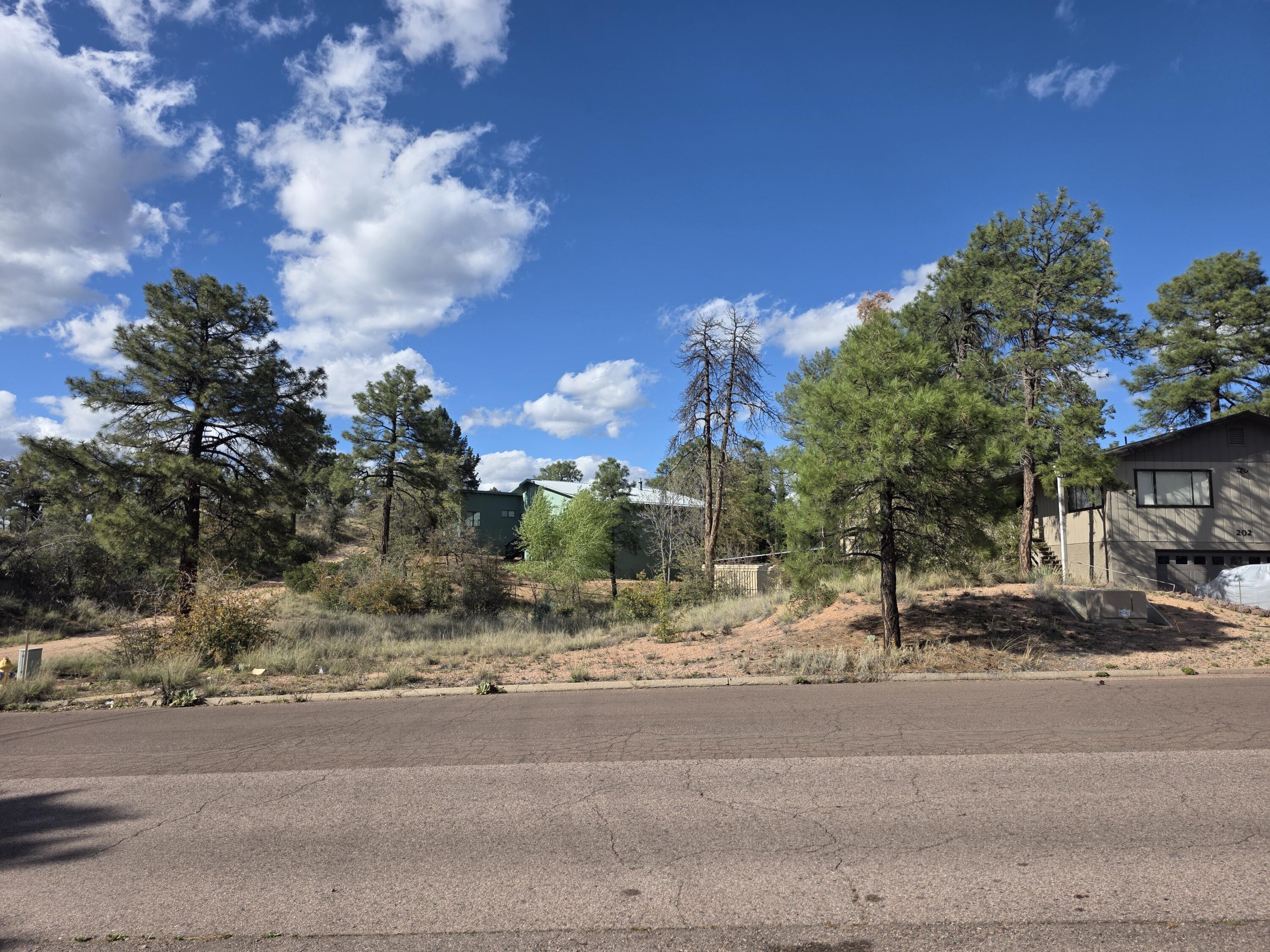 200 E Zurich Drive, Payson, AZ 85541