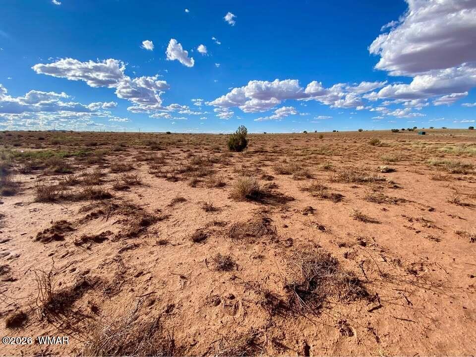 7566 Birch Lane, Snowflake, AZ 85937