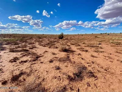 7566 Birch Lane, Snowflake, AZ 85937
