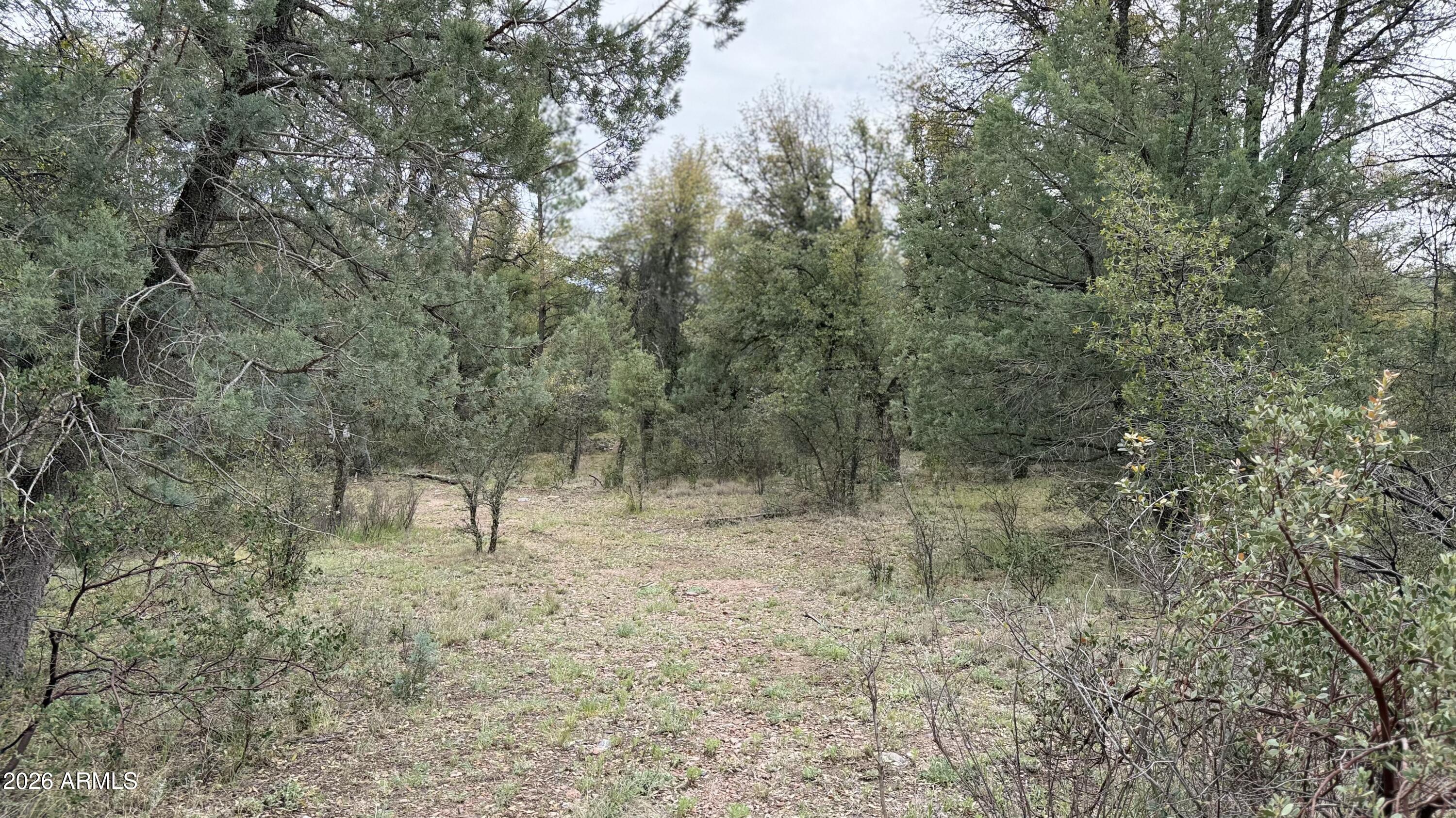 117 N Rifle Barrel Road 41, Young, AZ 85554 — Photo 1 of 5