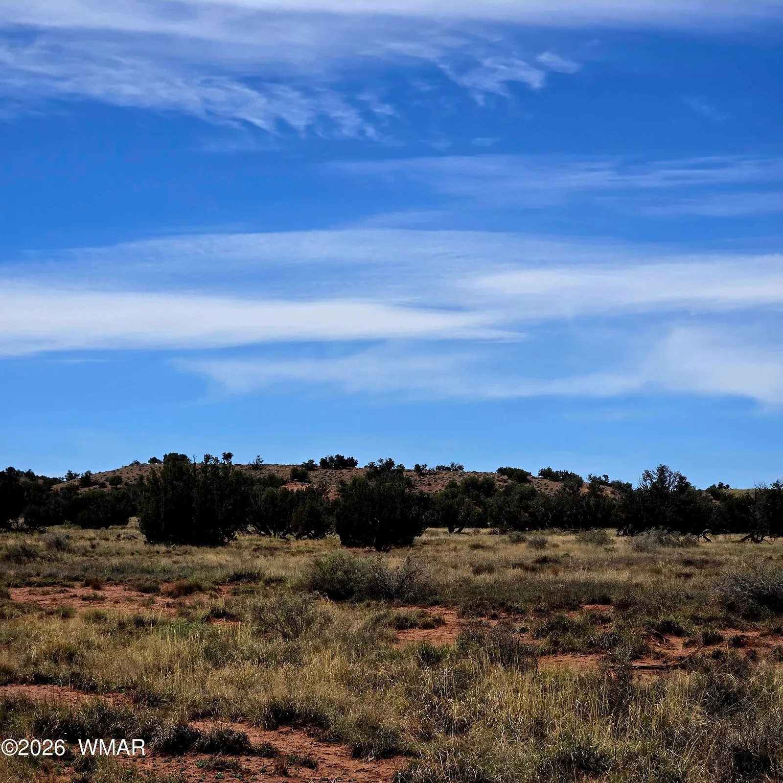 5438 County Line Road, Snowflake, AZ 85937 — Photo 1 of 13