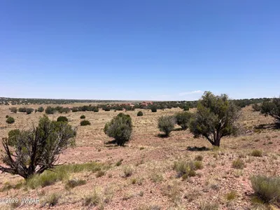 104 N9328, Concho, AZ 85924