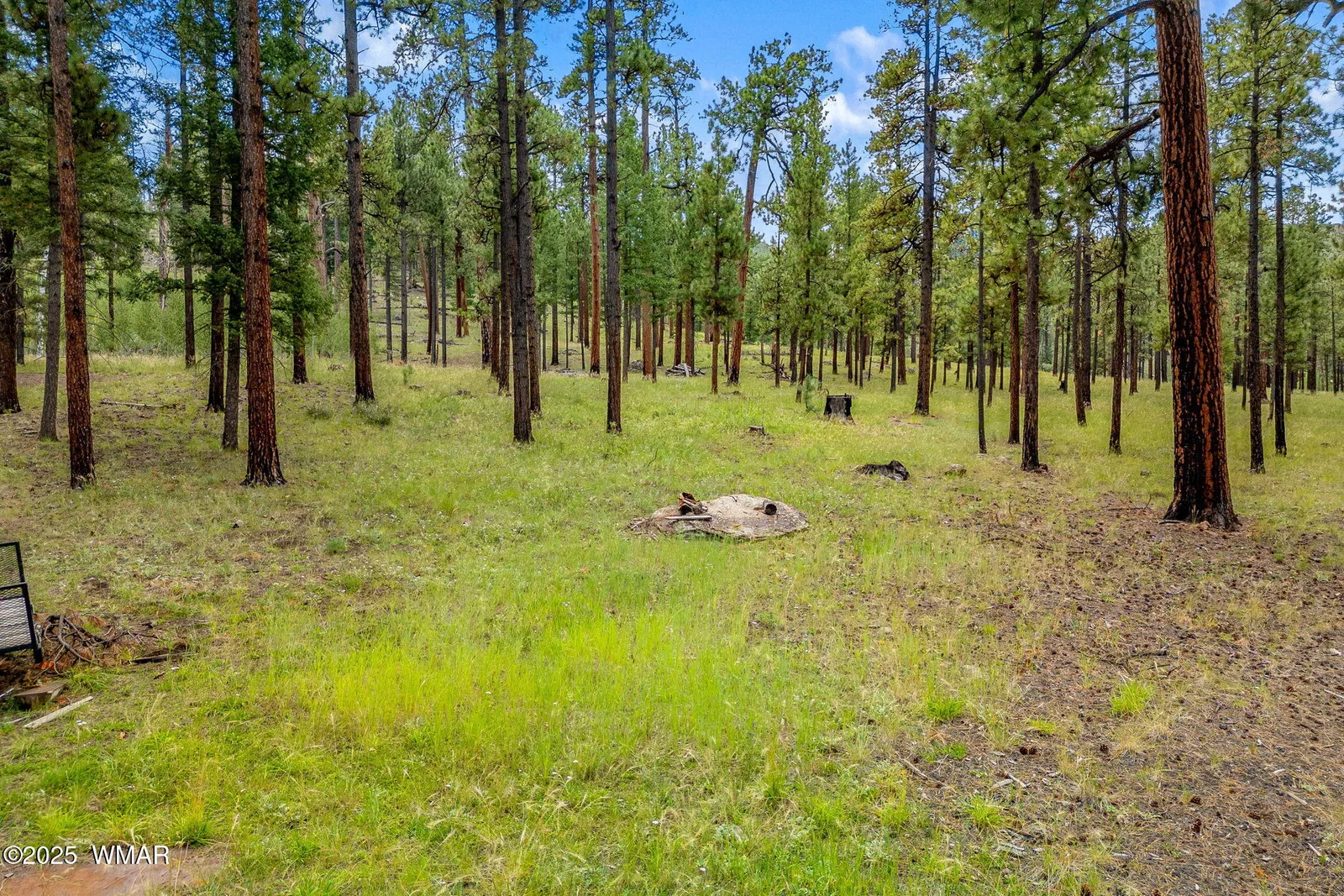16 N1062, Greer, AZ 85927 — Photo 1 of 16