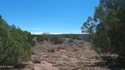 Thumbnail 25