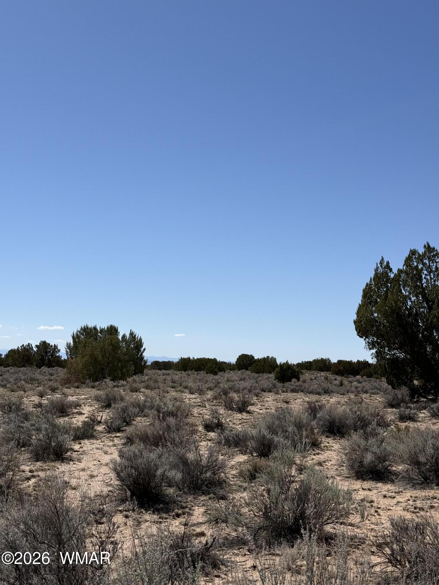 0 TBD 205-70-002, Chambers, AZ 86502 — Photo 1 of 7